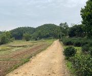 Hơn 500tr bạn đã sở hữu một lô đất 2370m có 200m thổ cư, còn lại là cây lâu năm Hơn 500tr bạn đã sở hữu một lô đất 2370m có 200m thổ cư, còn lại là cây lâu năm