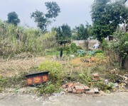 1 Bán 295m đất đường thông thôn 5 tân xã