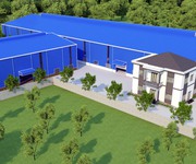 Bán đất ĐT 749A Long Nguyên - Bàu Bàng. DT 1,1Ha
