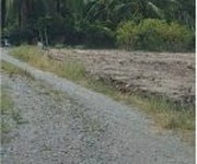 Chính chủ cần bán đất lúa tại long an