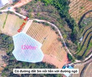 2 Thanh khoản mảnh đất 1200m2 tại Tả Phìn đón sóng quy hoạch khu du lịch quốc gia