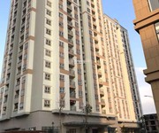 429 Xe gia đình còn mới đến 99%