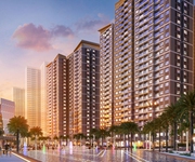 342 Xe gia đình còn mới đến 99%