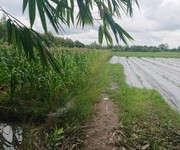 782 Xe gia đình còn mới đến 99%