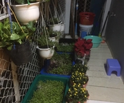 1794 Xe gia đình còn mới đến 99%