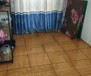 1196 Xe gia đình còn mới đến 99%