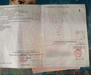 1125 Xe gia đình còn mới đến 99%
