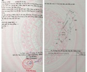 1236 Xe gia đình còn mới đến 99%
