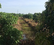 1257 Xe gia đình còn mới đến 99%