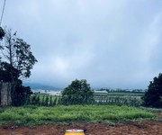 1567 Xe gia đình còn mới đến 99%