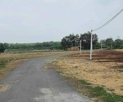 1449 Xe gia đình còn mới đến 99%