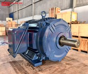 2613 Xe gia đình còn mới đến 99%