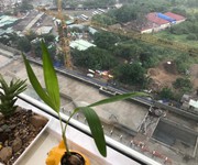 3516 Xe gia đình còn mới đến 99%