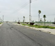 3505 Xe gia đình còn mới đến 99%