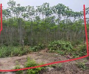 4365 Xe gia đình còn mới đến 99%
