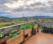 4417 Xe gia đình còn mới đến 99%