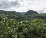4 Cắt lỗ mảnh  đất full 800m thổ cư ở Mộc Châu,Sơn La