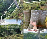 1 Chính chủ cần bán đất đồi tại hà giang