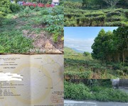 Chính chủ cần bán đất đồi tại hà giang