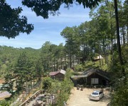 3 Bán FarmStay Giáp Rừng Thông Xuân Thọ Đà Lạt