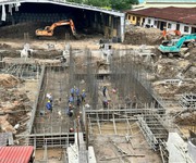 4 5 ýl do mua 384 ltt