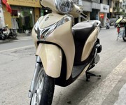 6 SH mode zin nguyên , biển thần tài siêu chất