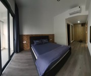 8 Chính chủ bán căn hộ Celadon Tân Phú full nội thất Sky Linked Villa