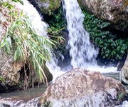 Bán 4,8ha rừng sản xuất bám suối, có thác nước cực đẹp và rẻ tại TT lương sơn- Hòa Bình