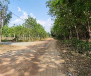 Đất nông nghiệp đa dạng - làm vườn kết hợp nuôi yến