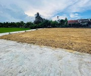 Mở bán 8 lô đất ngay chợ Lạc Thành Điện Hồng chưa qua đàu tư chỉ 4xx.