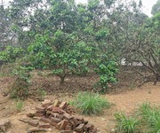 2 Cần bán nhà vườn địa chỉ  hà lộc, tx phú thọ, gần kcn phú hà