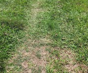 2 Chính chủ bán đất vườn - 325m2, gần khu dân cư, trường học, chợ, trụ sở ubnd xã chỉ 550 triệu.