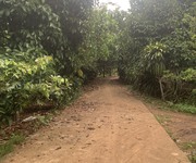 6 Vườn Trái Cây Mát Mẻ