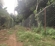 7 Vườn Trái Cây Mát Mẻ