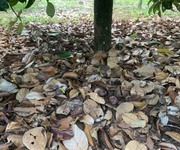 2 Vườn Trái Cây Mát Mẻ