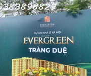 Bán nhà ở xã hội evergreen tràng duệ, an dương, hải phòng - 1 phòng ngủ