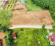 Gia đình chuyển nhà ra Hà Nội ở nên cần bán lại lô đất thổ cư 550m2, dân cư đông đúc, sổ hồng riêng