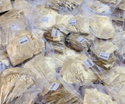 Tìm 1 Nữ Ở Ghép An Phú Q2 HCM