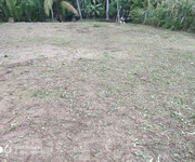 3 Chính chủ cần bán gấp đất tại xã tân phú tây - mỏ cày bắc- bến tre.