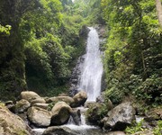 1 Chính chủ cần bán nhanh mảnh đất mặt đường quốc lộ km 14 đường bắc kạn ba bể. 1 Chính chủ cần bán nhanh mảnh đất mặt đường quốc lộ km 14 đường bắc kạn ba bể.