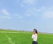 3 Bán gấp lô mt ngay QLo 14B ngang 9 Hòa Vang Đà Nẵng Cách chợ Túy Loan 1km chỉ 7xx