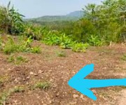 3 Chính chủ cần bán hơn 1200m2 đất vườn tại Thống Nhất   Đồng Nai, SHR, giá chỉ 900 triệu