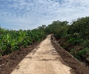 4 Chính chủ cần bán hơn 1200m2 đất vườn tại Thống Nhất   Đồng Nai, SHR, giá chỉ 900 triệu