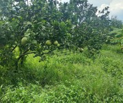 1 Chú gửi bán đất vườn 5 sào giá 380 triệu 1 Chú gửi bán đất vườn 5 sào giá 380 triệu