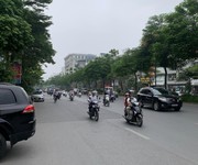 231 CC cho thuê Biệt thự