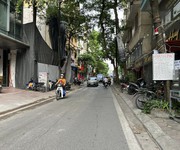 Bán đất phố Vũ Ngọc Phan, Đống Đa, ô tô tránh 67m2 mặt tiền 3.6m giá 16.5 tỷ