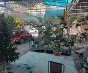 7 Nhà đẹp Ninh Thuận giá rẻ full nội thất gỗ sân vườn cách TP. Đà Lạt 80km