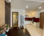 2 Cho thuê căn hộ 2 ngủ chung cư cao cấp SHP