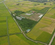 2 Chính chủ cần bán gấp trang trại lợn tại nông cống, thanh hoá 2 Chính chủ cần bán gấp trang trại lợn tại nông cống, thanh hoá