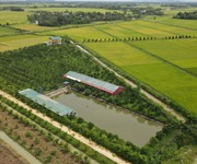 1 Chính chủ cần bán gấp trang trại lợn tại nông cống, thanh hoá 1 Chính chủ cần bán gấp trang trại lợn tại nông cống, thanh hoá